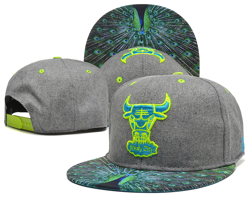 NBA Chicago Bulls NE Snapback Hat #356